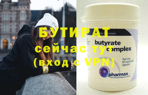 сатива Новодвинск