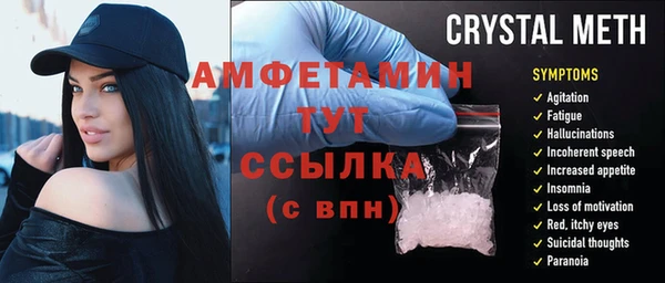 сатива Новодвинск