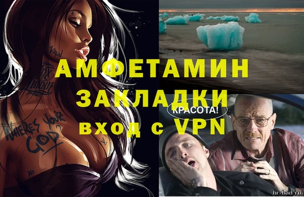 сатива Новодвинск