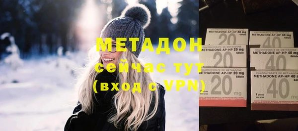 сатива Новодвинск