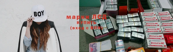 гидра Няндома