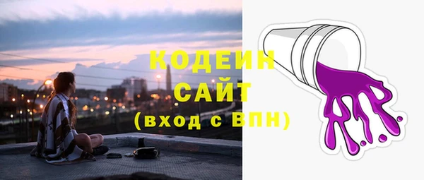 сатива Новодвинск