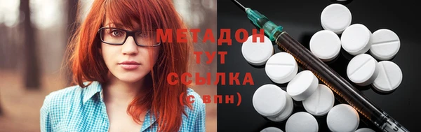 сатива Новодвинск