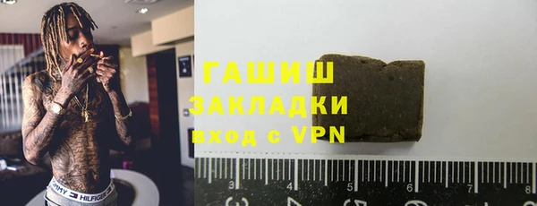 сатива Новодвинск