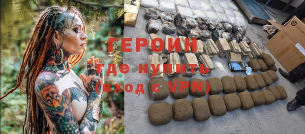 гидра Няндома