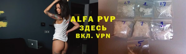 гидра Няндома
