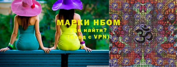гидра Няндома