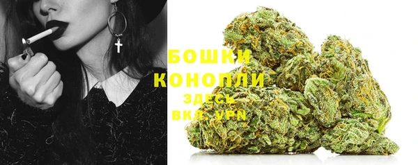 гидра Няндома