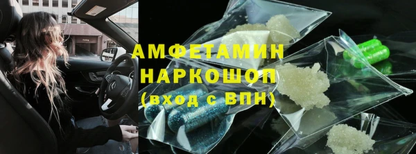 сатива Новодвинск