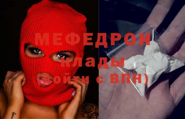 гидра Няндома