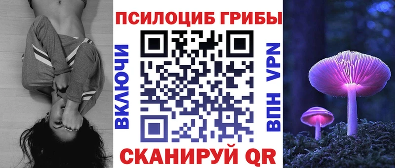 как найти закладки  Агидель  Галлюциногенные грибы мухоморы 